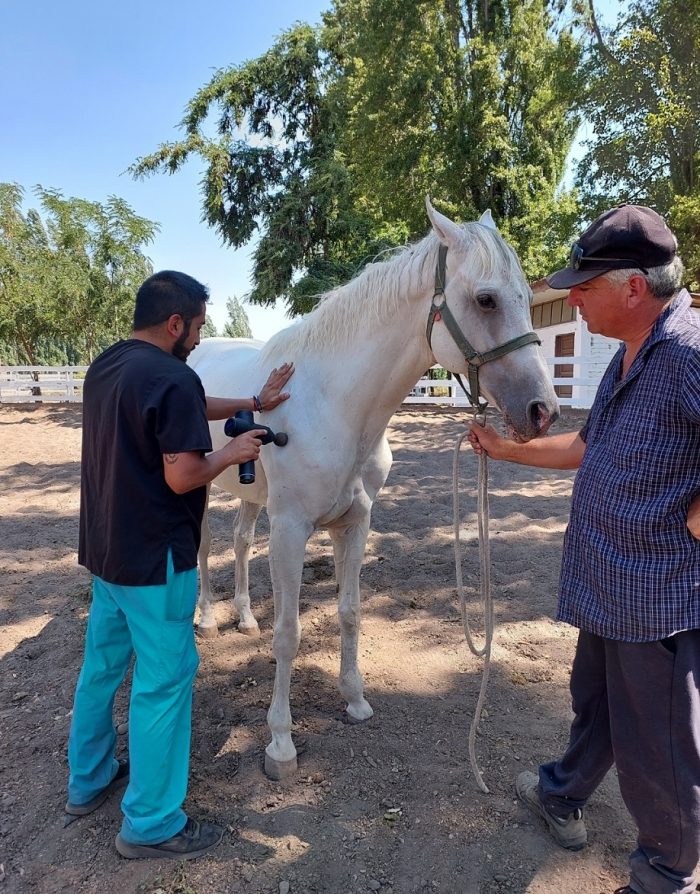 South America Inside: Volunteering on a Farm in Chile