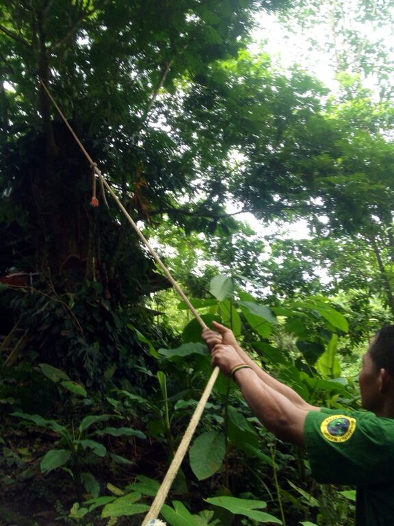 Freiwilligenarbeit Im Naturschutz Im Regenwald - South America Inside