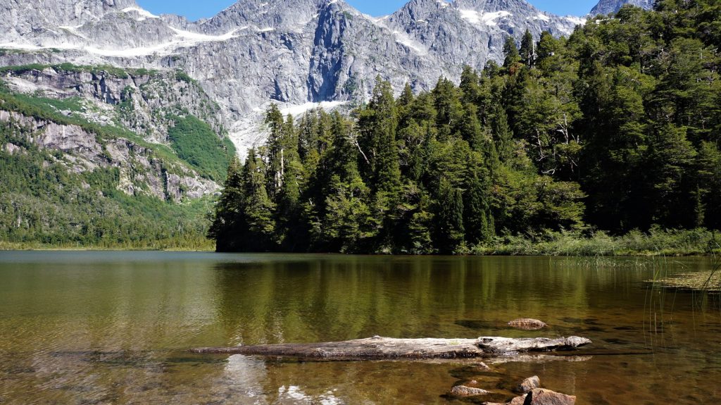 Freiwilligenarbeit Naturpark Patagonien