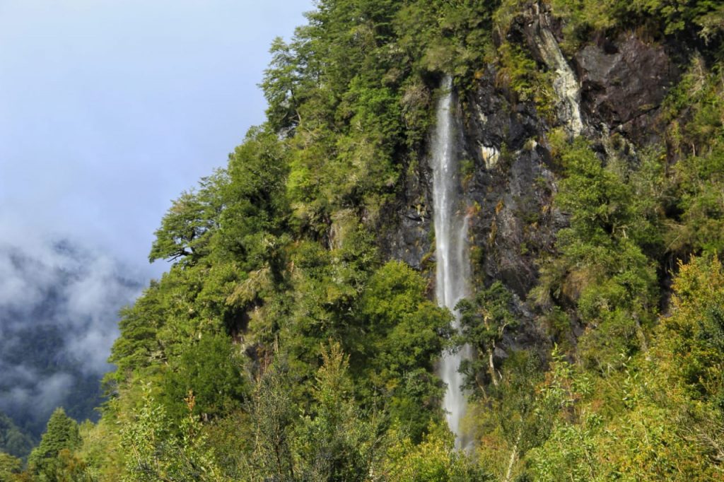 Freiwilligenarbeit Naturpark Patagonien