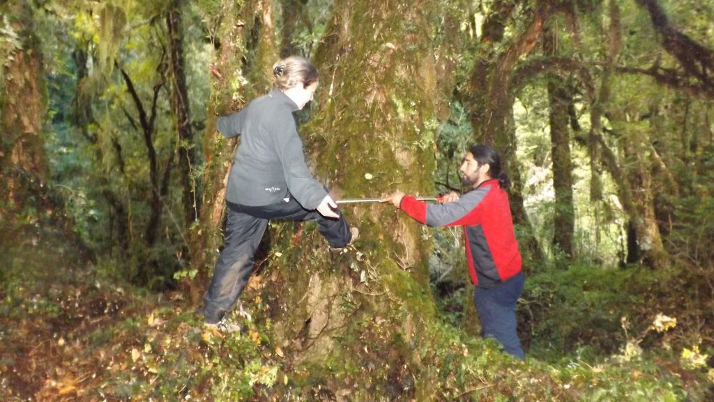 Freiwilligenarbeit Naturpark Patagonien