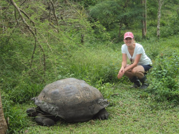 Become a Volunteer on the amazing Galapagos Islands