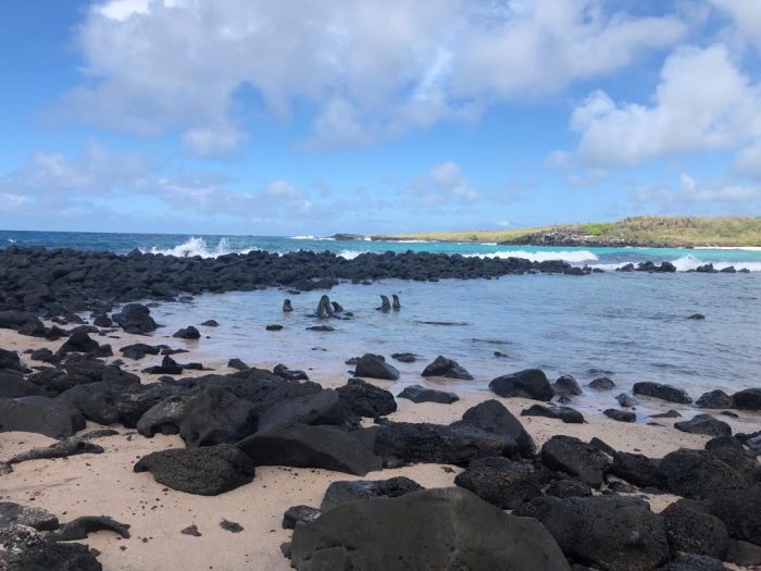 Volunteer for Nature on the Galapagos Islands - South America Inside