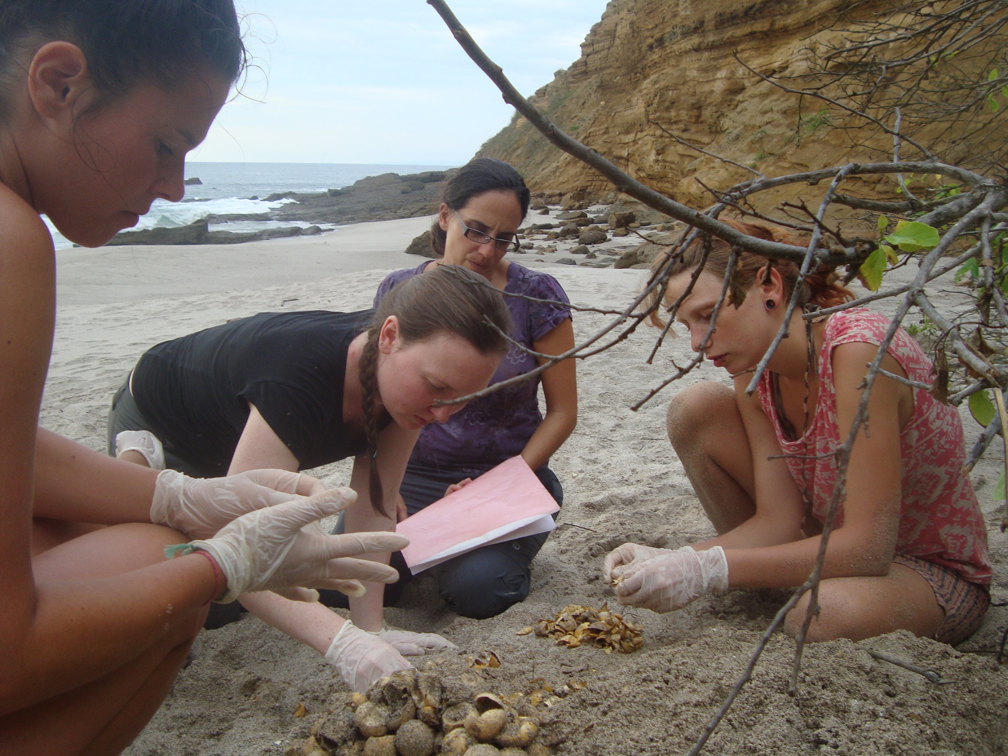 Marine Conservation Volunteering Ecuador - South America Inside