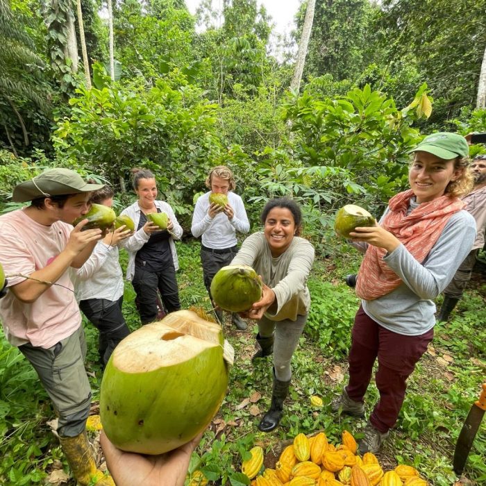 Sea Turtle Protection and Rainforest Conservation - Volunteering