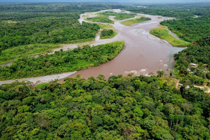 Volunteering in Animal Welfare in the Jungle - South America Inside