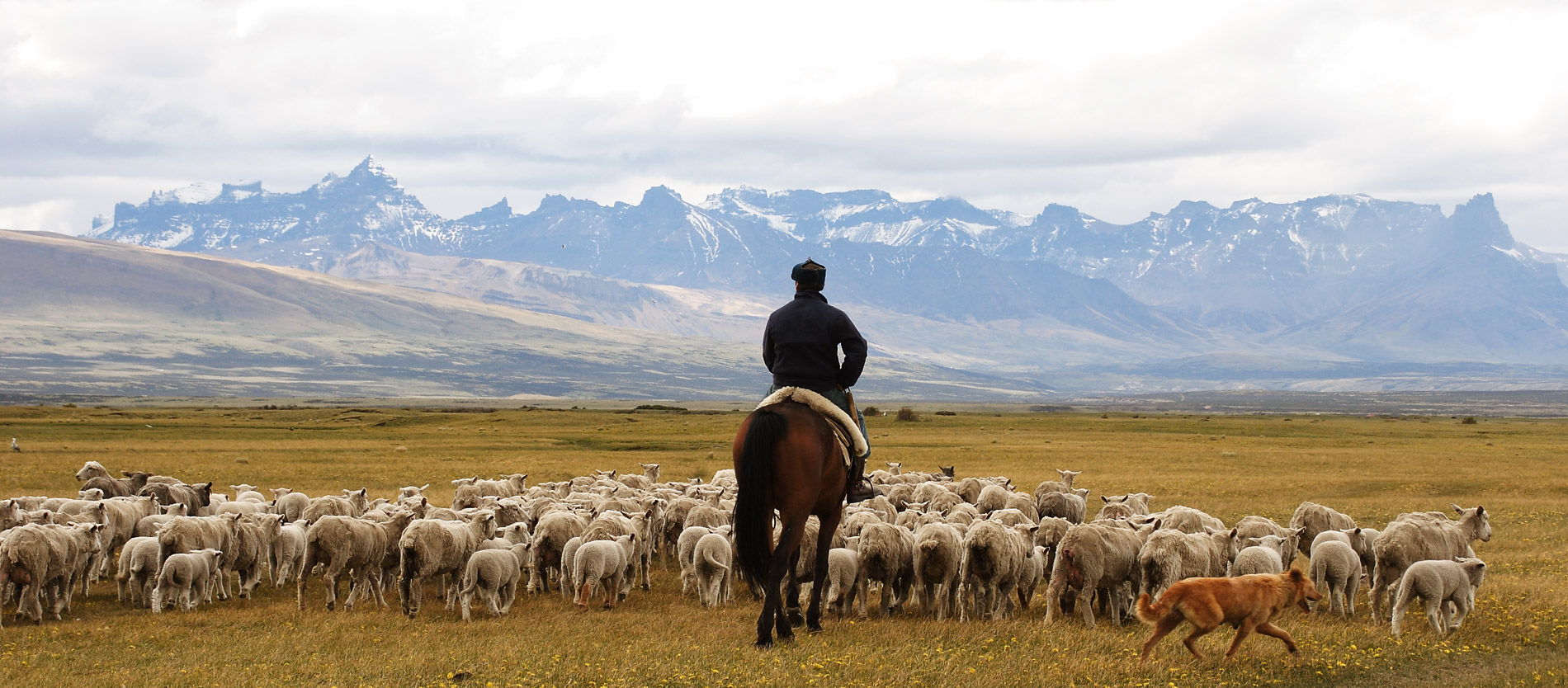 Farm Stay in Latin America - South America Inside