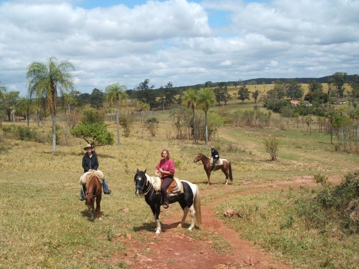 Farm Work with Horses in Paraguay - South America Inside